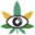 spannabis.com