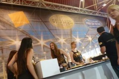 spa2011_29_20140411_1540679421