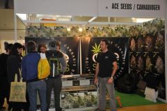 img_1330538882_526_20141215_1803475275