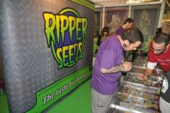 img_1330539025_551_20141215_1147357160