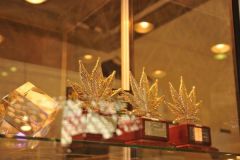 img_1330540483_948_20141215_1749848046