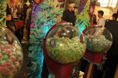 img_1330601551_442_20141215_1525307217