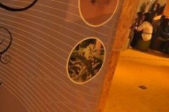 img_1330601668_639_20141215_1459029542