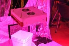 img_1330601769_898_20141215_1068698550