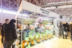 img_1361988501_517_20141215_1009036079
