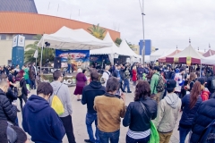 domingo_spanabish15_051_20150407_1162658893