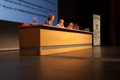 conferencias_spannabish_marzo17_69_20170404_1464007745