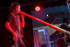 escenario_spannabish_marzo17_50_20170404_1602137790