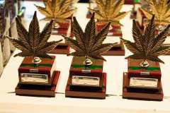otras_premios_viernes_spannabish_marzo17_-23_20170404_1656449878