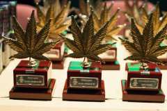 otras_premios_viernes_spannabish_marzo17_-24_20170404_1091045533