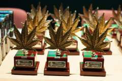 otras_premios_viernes_spannabish_marzo17_-25_20170404_1215352175