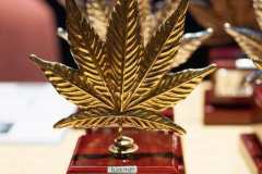 otras_premios_viernes_spannabish_marzo17_-26_20170404_1736117860