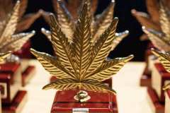 otras_premios_viernes_spannabish_marzo17_-27_20170404_1917381115