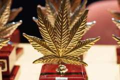 otras_premios_viernes_spannabish_marzo17_-28_20170404_1319902861