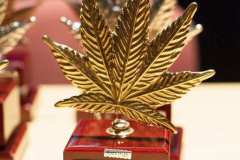 otras_premios_viernes_spannabish_marzo17_-30_20170404_1229045826