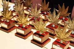 otras_premios_viernes_spannabish_marzo17_-32_20170404_1455325020
