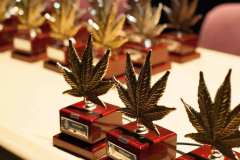 otras_premios_viernes_spannabish_marzo17_-33_20170404_1161599491