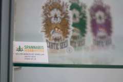 premios_spannabish_marzo17_14_20170404_2048189321