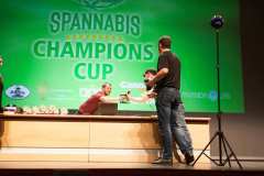 premios_viernes_spannabish_marzo17_-19_20170404_1807804552