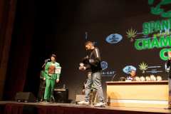 premios_viernes_spannabish_marzo17_-26_20170404_1785166139