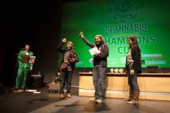 premios_viernes_spannabish_marzo17_-76_20170404_1817900046