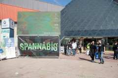 sabado_spannabish_marzo17_78_20170404_1943063061