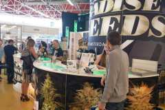 stands_spannabish_marzo17_-061-34_20170404_1450893414