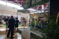 stands_spannabish_marzo17_-061-8_20170404_1824015641
