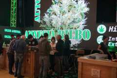 stands_spannabish_marzo17_-21_20170404_1753691609