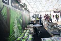 stands_spannabish_marzo17_-2_20170404_1441247161