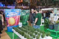 stands_spannabish_marzo17_6223_20170404_2079263555