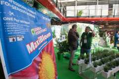 stands_spannabish_marzo17_6225_20170404_1912646737