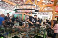 stands_spannabish_marzo17_624_20170404_1607863378
