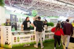 stands_spannabish_marzo17_6356_20170404_1729868509