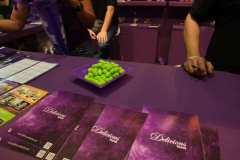 stands_spannabish_marzo17_65117_20170404_2056526944