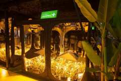 stands_spannabish_marzo17_65126_20170404_1988560231