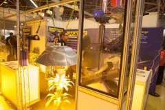 stands_spannabish_marzo17_65171_20170404_1069288060