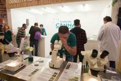 stands_spannabish_marzo17_6538_20170404_1225531656