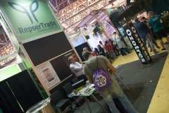 stands_spannabish_marzo17_6552_20170404_1482397868