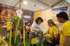 stands_spannabish_marzo17_6618_20170404_2027831804