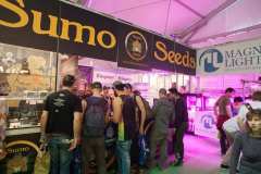 stands_spannabish_marzo17_7_126_20170404_1490496699