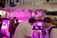 stands_spannabish_marzo17_7_128_20170404_1599127570