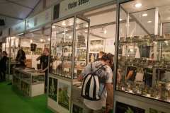 stands_spannabish_marzo17_7_181_20170404_1220031909
