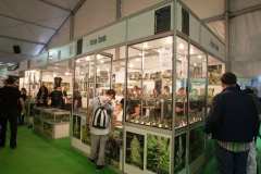 stands_spannabish_marzo17_7_183_20170404_1356218792