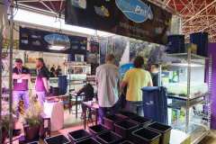 stands_spannabish_marzo17_7_27_20170404_1488549580