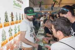 stands_spannabish_marzo17_7_350_20170404_1748000930
