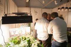 stands_spannabish_marzo17_7_411_20170404_2086666194