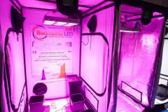 stands_spannabish_marzo17_7_459_20170404_1840510986