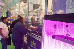 stands_spannabish_marzo17_7_486_20170404_1409291870