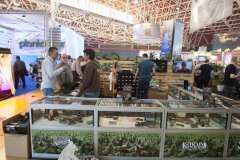 stands_spannabish_marzo_6413_20170404_1687782816